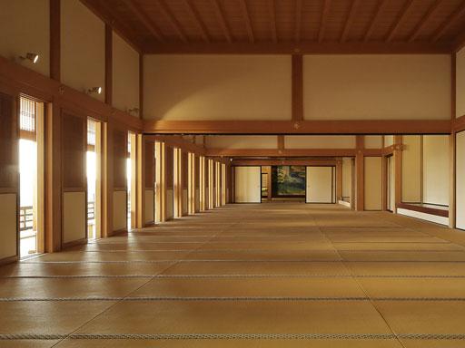 Dojo